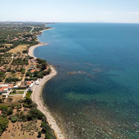 Papi'S Free Parking Villa Alexandroupoli Exterior photo